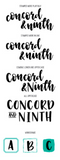 Bold and Brushy Uppercase and Lowercase Stamp Set, Concord and 9th