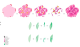 Build-A-Flower:  Camellia Japonica Stamp & Die Bundle, Altenew