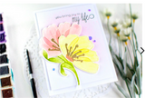 Incredible Stamp & Die Bundle, Altenew